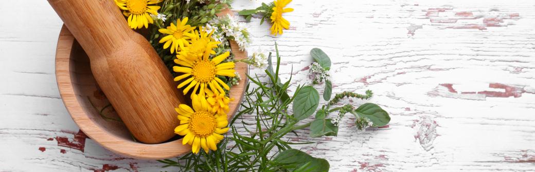 Na pajączki i żylaki pomoże nie tylko kasztanowiec