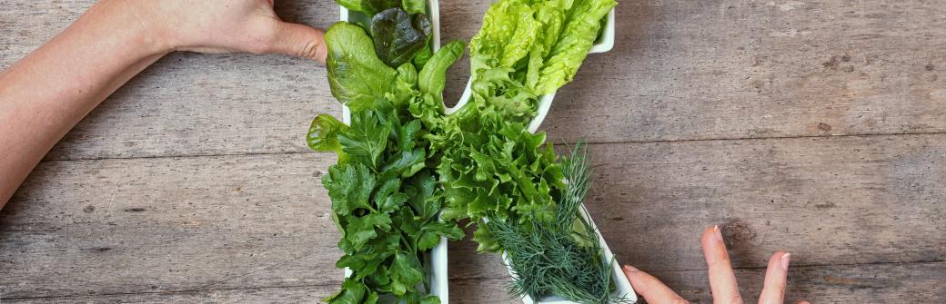 Witamina K na straży zdrowia