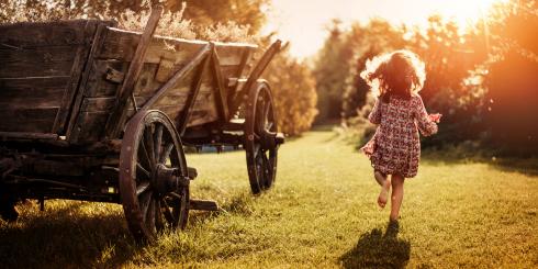 Kluczowa rola dla zdrowia od kości do mózgu - poznaj pełen potencjał witaminy D3