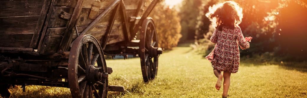 Kluczowa rola dla zdrowia od kości do mózgu - poznaj pełen potencjał witaminy D3