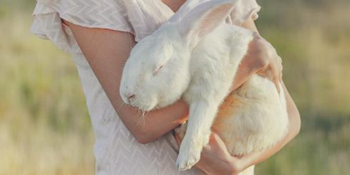 Testy na zwierzętach - czy są potrzebne?