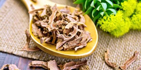 Różeniec górski i jego cenne właściwości niwelowania stresu