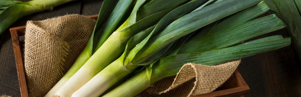 Por - jego właściwości lecznicze mogą Cię zaskoczyć