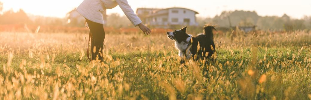 Wzmocnij szkielet i zmień dietę, aby uniknąć złamania