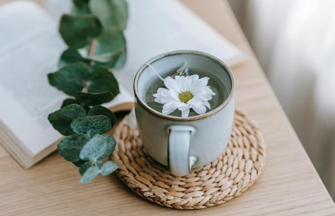 Nie tylko eukaliptus. Te zioła pomagają w zapaleniu nosa i zatok