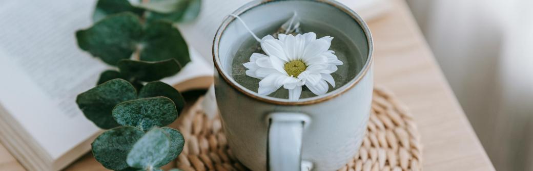 Nie tylko eukaliptus. Te zioła pomagają w zapaleniu nosa i zatok