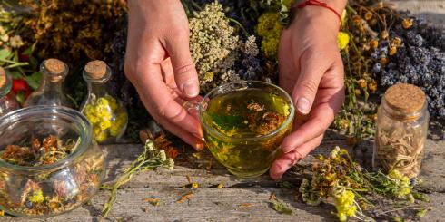 O ziołach w zdrowym starzeniu się - rozmowa z  Davidem Winstonem
