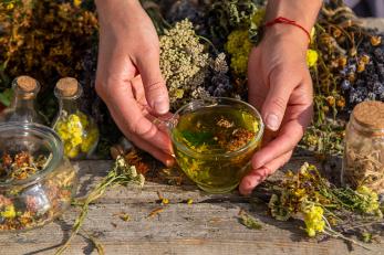 O ziołach w zdrowym starzeniu się - rozmowa z  Davidem Winstonem