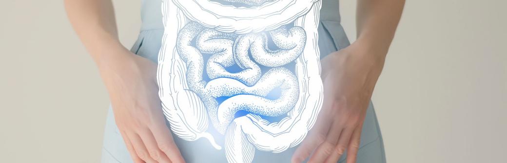 Nasze zdrowie zaczyna się w jelitach. Dlaczego mikrobiota jest tak ważna dla kobiet?