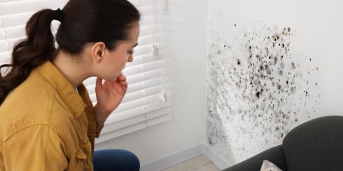 Zatrucie pleśnią - przyczyny, objawy, leczenie