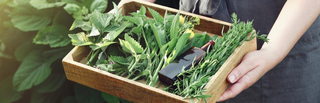 Stres może prowadzić do cukrzycy. W jego łagodzeniu pomogą te rośliny