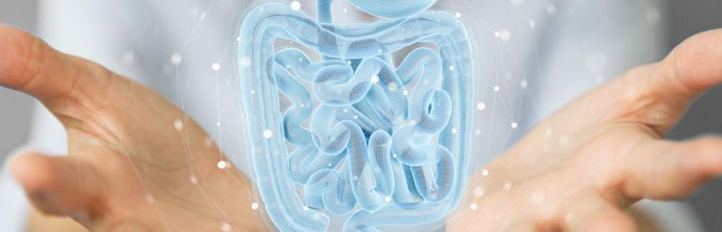 Nasze zdrowie zaczyna się w jelitach