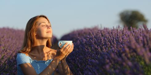 Jakie właściwości lawendy sprawiają, że jest ceniona w aromaterapii, kosmetyce i kuchni?