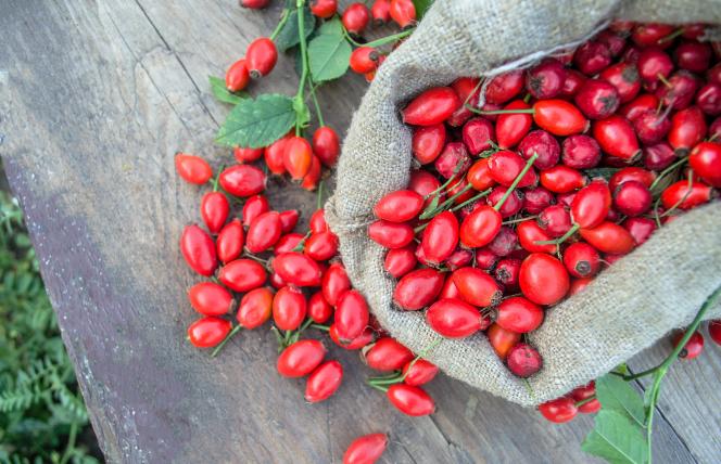 Jak dieta roślinna i unikanie czerwonego mięsa wpływają na zdrowie układu krążenia?