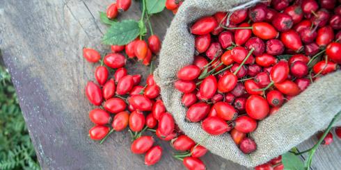 Jak dieta roślinna i unikanie czerwonego mięsa wpływają na zdrowie układu krążenia?