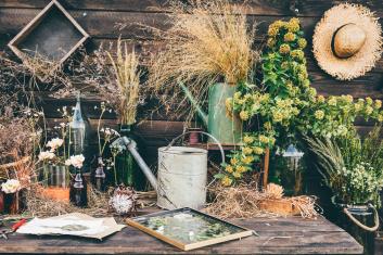 Lecznicze zioła dla kobiet 