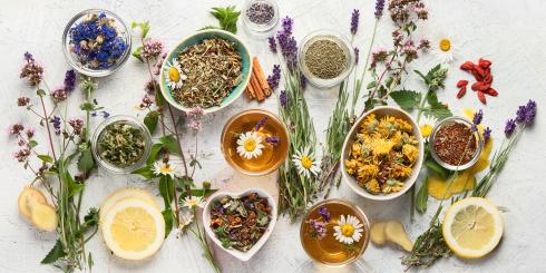 Te zioła pomagają w leczeniu cukrzycy