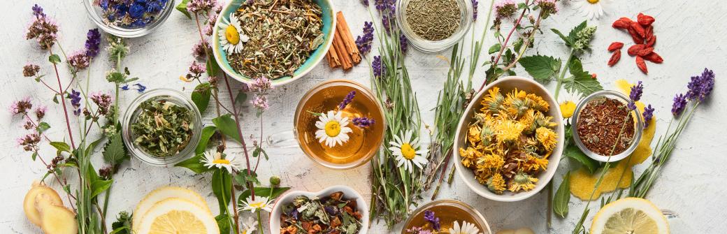 Te zioła pomagają w leczeniu cukrzycy