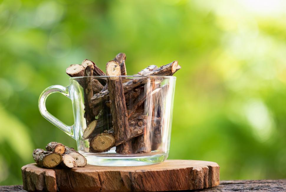 Cryptolepis sanguinolenta