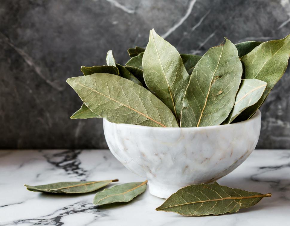 Liść wawrzynu szlachetnego