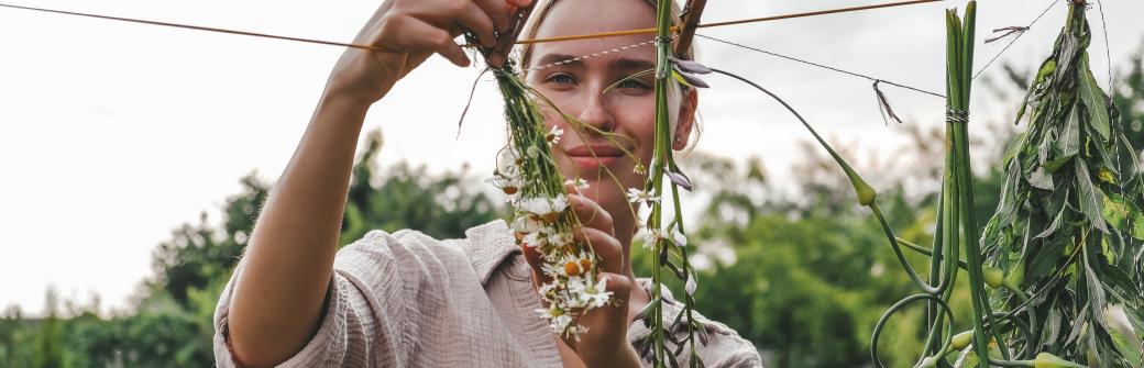 Czym są adaptogeny i jak działają na nasz układ odpornościowy?