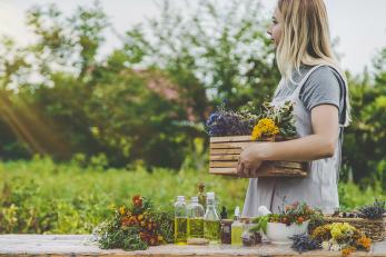 6 ziół dla kobiecej równowagi wewnętrznej