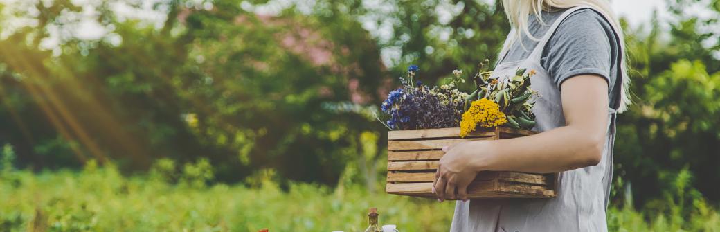 6 ziół dla kobiecej równowagi wewnętrznej