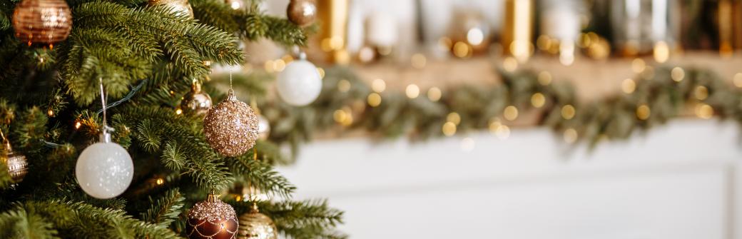 Aromat drzew iglastych dobrze wpływa na samopoczucie