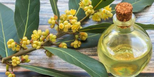 Ten olejek skutecznie zmniejsza ból stawów