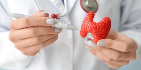 Tarczyca - funkcje, choroby, badania. Jak wspomagać ją naturalnymi sposobami?