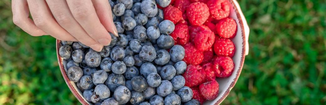 Dlaczego warto jeść owoce jagodowe?