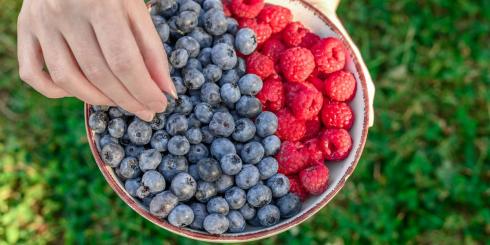 Dlaczego warto jeść owoce jagodowe?