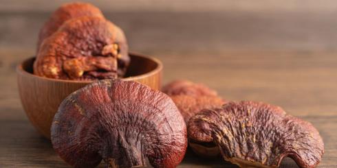 Grzyby Reishi - hamują starzenie, działają przeciwzapalnie i podnoszą odporność