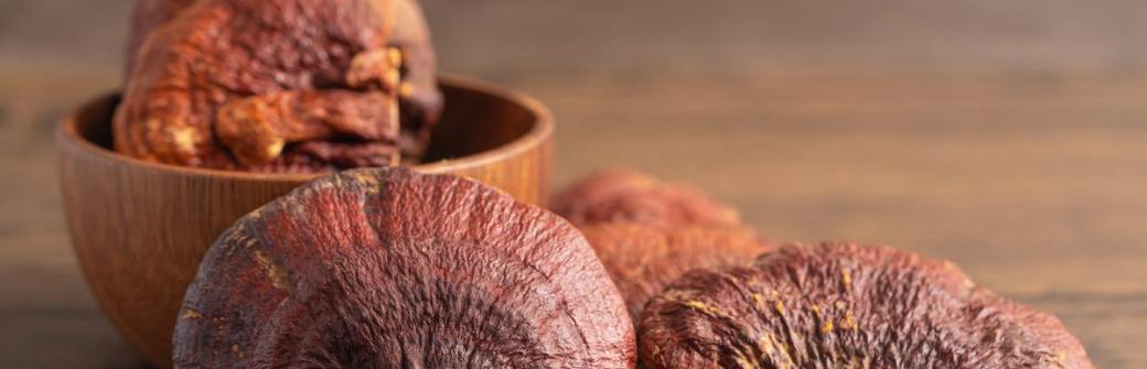 Grzyby Reishi - hamują starzenie, działają przeciwzapalnie i podnoszą odporność