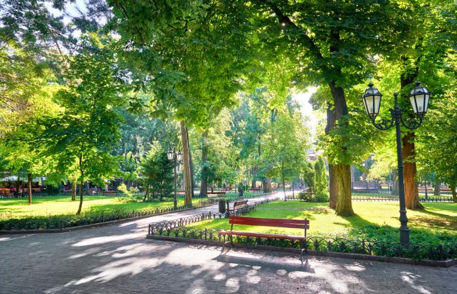 Tu odetchniesz pełną piersią - w tych miastach powietrze jest najlepsze