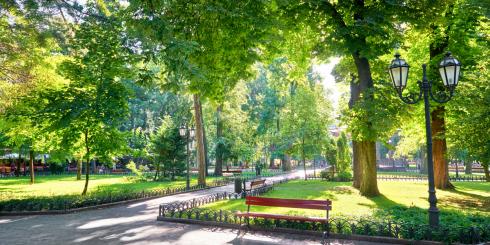 Tu odetchniesz pełną piersią - w tych miastach powietrze jest najlepsze