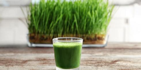 Dieta alkaliczna pomocna w walce z zakwaszeniem organizmu