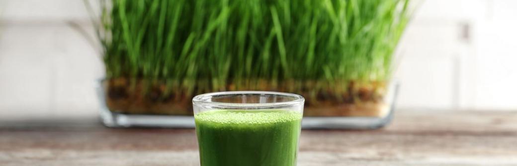 Dieta alkaliczna pomocna w walce z zakwaszeniem organizmu