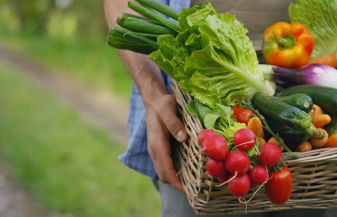 Dieta planetarna – co to jest i jak ją stosować?