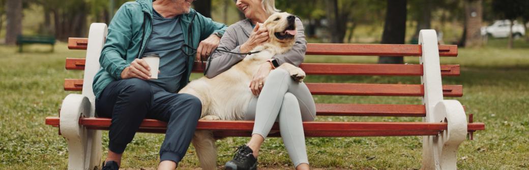 Zadbaj o stawy! Sprawdź naturalne środki przeciwzapalne