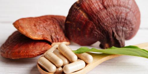 Kolejne badania dowodzą, że te grzyby mają fenomenalne właściwości prozdrowotne