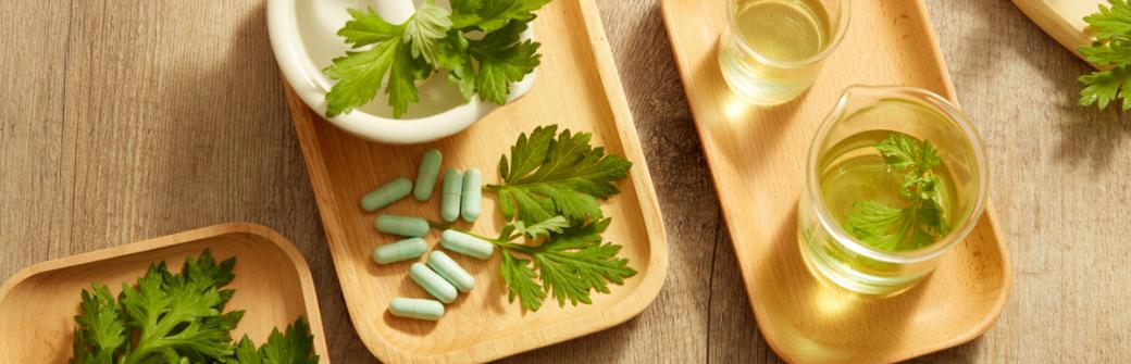 Zioło, które leczy – niezwykłe właściwości bylicy rocznej