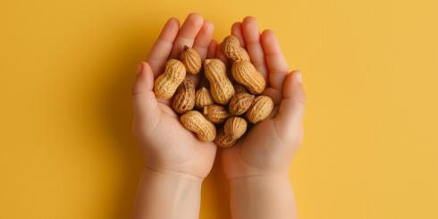 Orzeszki ziemne i jajka mogą chronić przed alergią