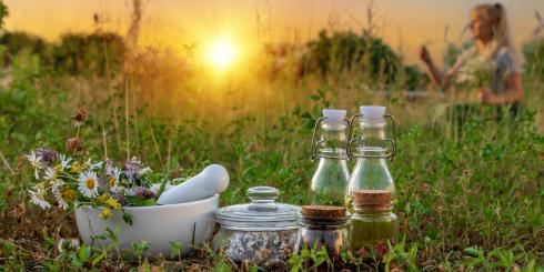 Napary ziołowe, a może sałatka z mlecza? Naturalne sposoby na nerki