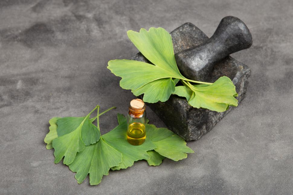 Ekstrakt z Ginkgo biloba