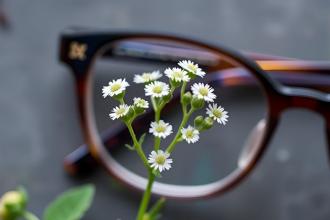 Podrażnienie oczu i osłabienie wzroku - naturalne metody leczenia