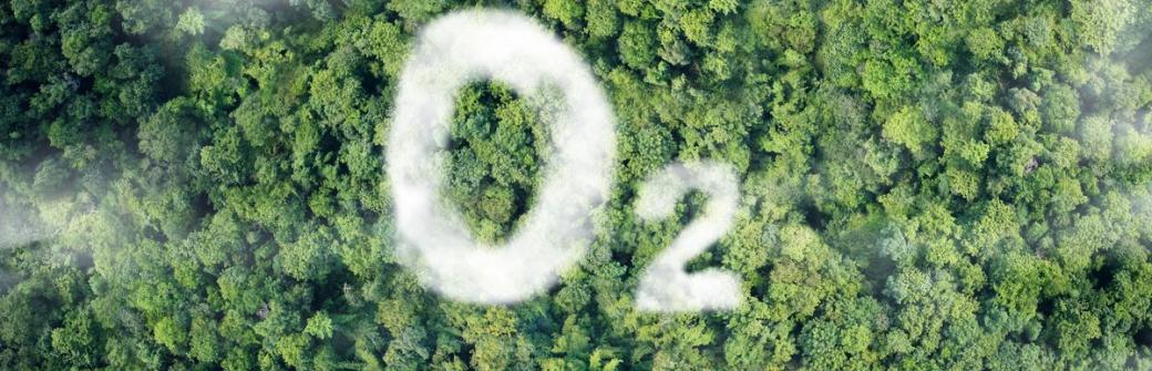 Tlen, wodór, ozon - trzy gazy cenne dla mózgu 