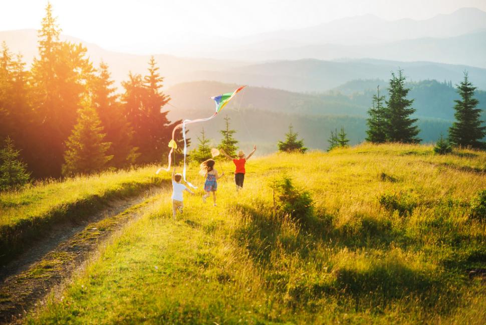 dzieci bawiące się w naturze