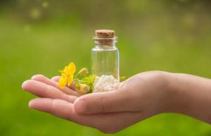 Jak chronić się przez pasożytami? Te kuracje homeopatyczne pomogą je zwalczyć
