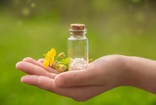 Jak chronić się przez pasożytami? Te kuracje homeopatyczne pomogą je zwalczyć